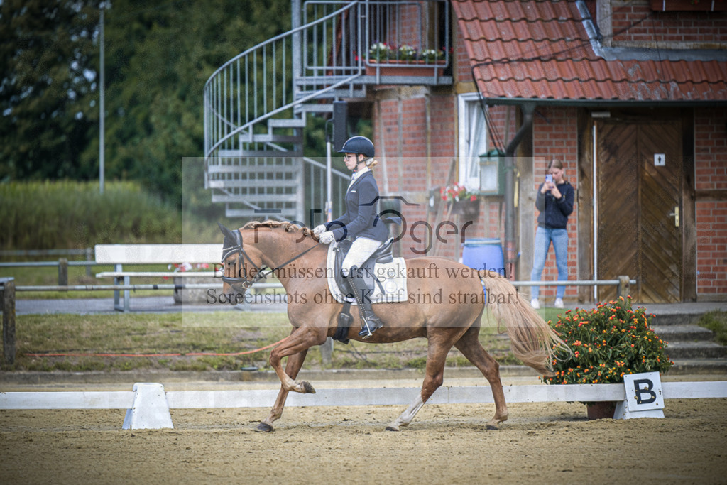 DOS_3982 | Entdecke hochwertige Reitturnierfotos von Foto Oger. Professionell, emotional und authentisch – jetzt Lieblingsmomente im Shop bestellen.Deutschlandweite Turnierfotografie. - Realized with Pictrs.com