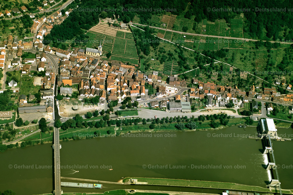 7510366 | Klingenberg 1982