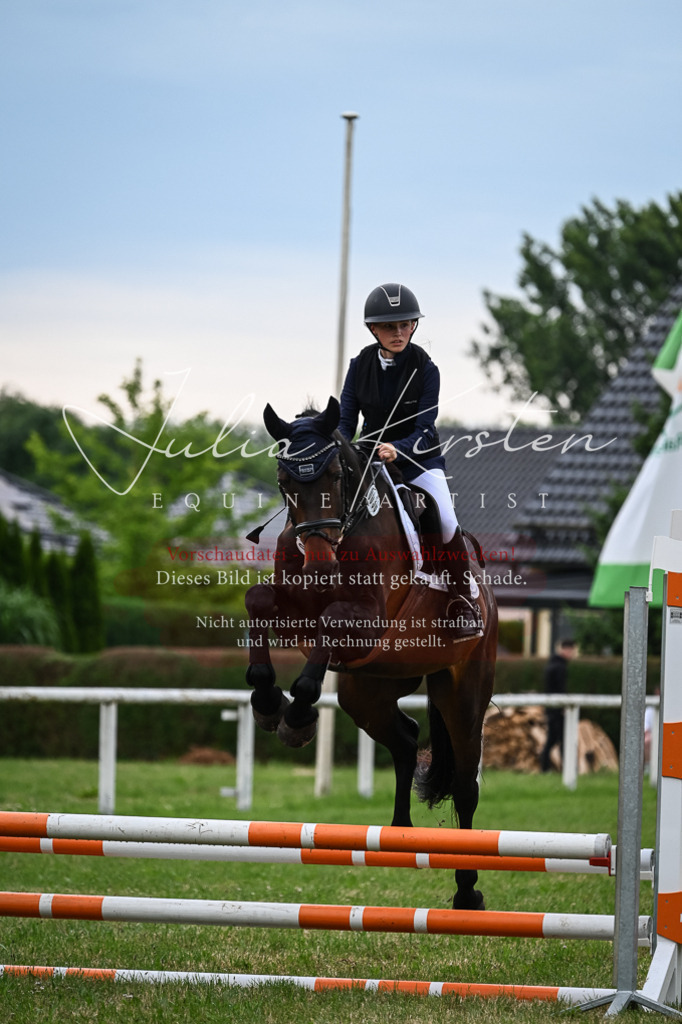 DSC_8564 | Pferde- und Turnierfotografie in Westsachsen. Pferdeportraits, Auftragszeichnungen und intuitive Kunst.