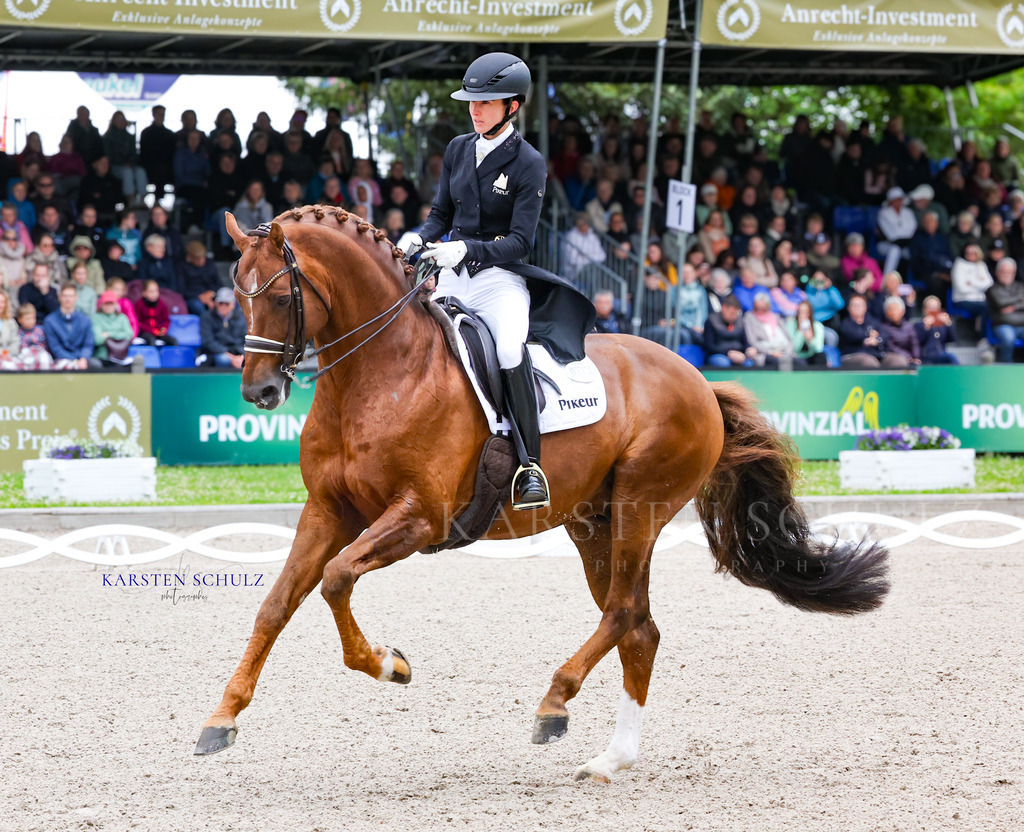 1B3A7646 | Reitsport Reiten