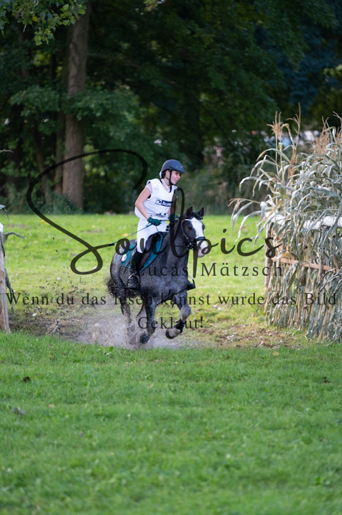 A7V03045 | Turnier/Reitfotograf