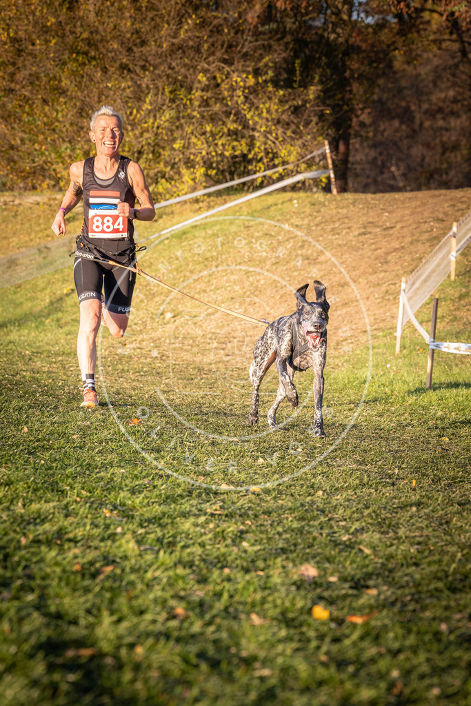CaniXpix_0L8A1203 | Hundefotografie, Tierfotograf, Pfotenfotografie, Fotoshooting Hund, Hunde Portrait, Hundesport, Hundeportraits, Heideshooting, Hunde, Sportfotograf, Hundefotograf, Turnierhundsport, THS,  - Realisiert mit Pictrs.com