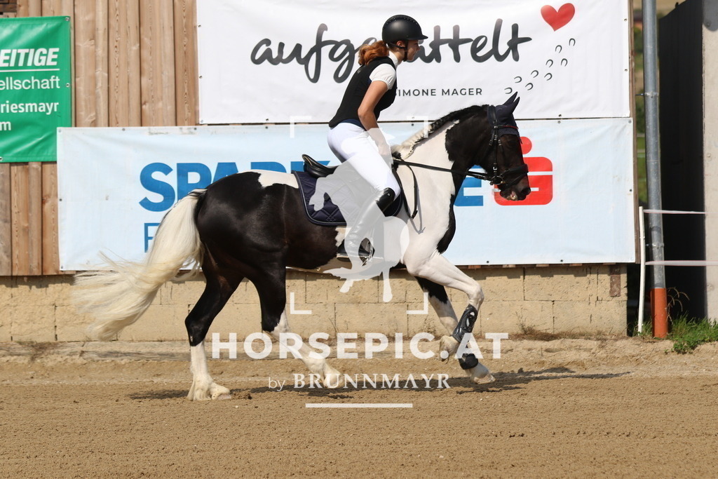 7V2A2742 | Willkommen bei Brunnmayr - Design & Fotografie – Ihrem Spezialisten für Reitturniere und Pferdeveranstaltungen in Oberösterreich, Salzburg und Bayern! Seit über 17 Jahren sind wir leidenschaftlich dabei.