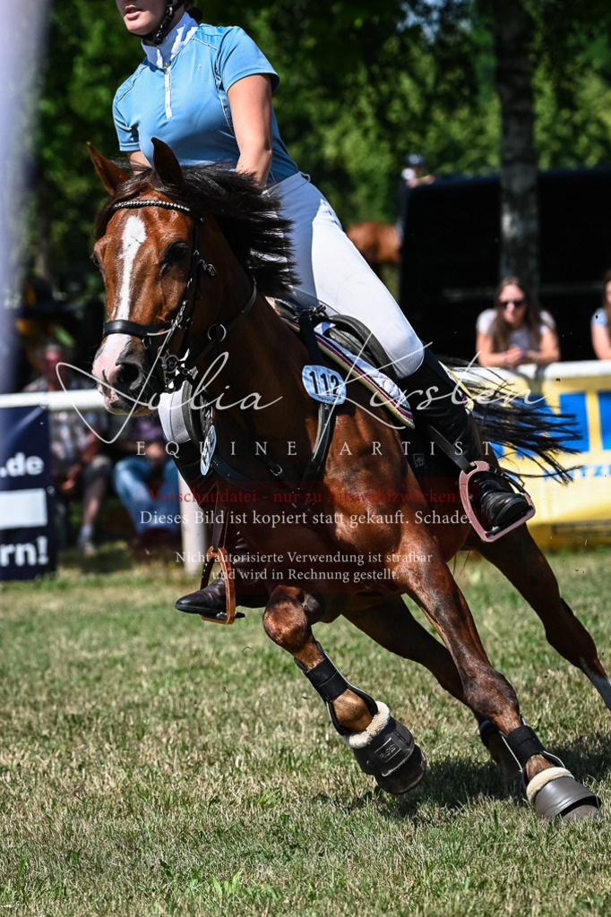 DSC_0949 | Pferde- und Turnierfotografie in Westsachsen. Pferdeportraits, Auftragszeichnungen und intuitive Kunst.