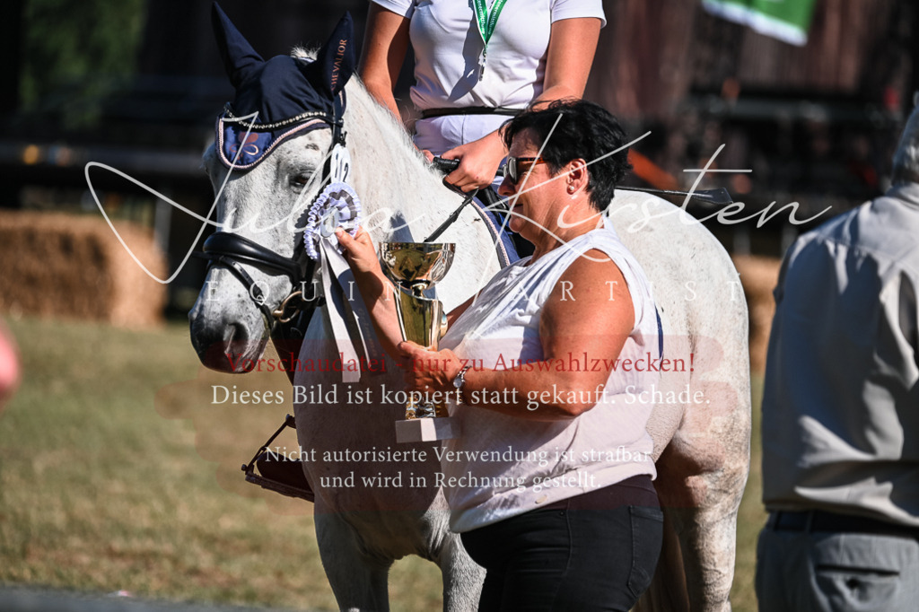 DSC_7107 | Pferde- und Turnierfotografie in Westsachsen. Pferdeportraits, Auftragszeichnungen und intuitive Kunst.