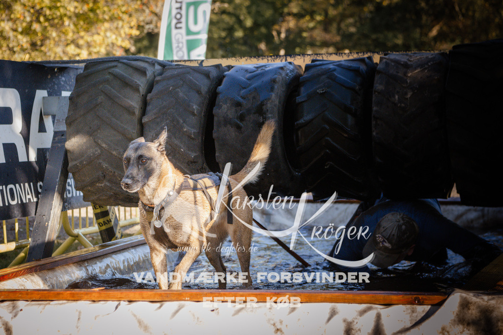 0957_ZZ92313 | kk-dogfotos
