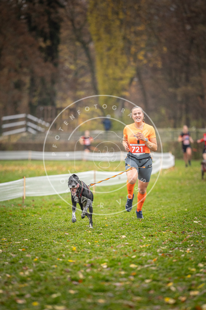 CaniXpix_DV3A9240 | Hundefotografie, Tierfotograf, Pfotenfotografie, Fotoshooting Hund, Hunde Portrait, Hundesport, Hundeportraits, Heideshooting, Hunde, Sportfotograf, Hundefotograf, Turnierhundsport, THS,  - Realisiert mit Pictrs.com