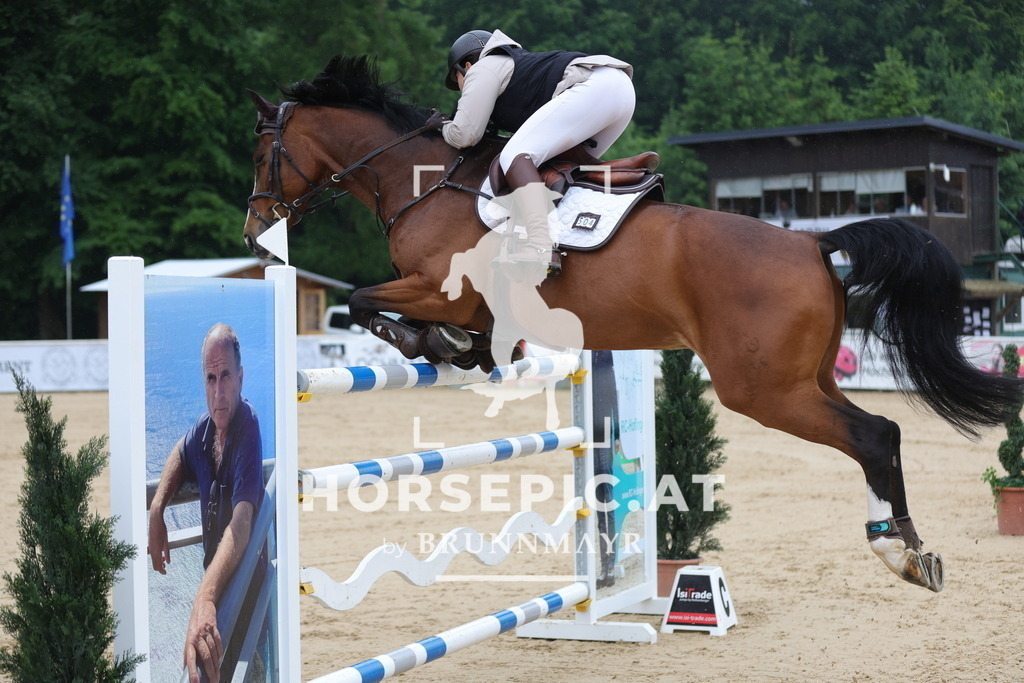 0P6A2641 | Willkommen bei Brunnmayr - Design & Fotografie – Ihrem Spezialisten für Reitturniere und Pferdeveranstaltungen in Oberösterreich, Salzburg und Bayern! Seit über 17 Jahren sind wir leidenschaftlich dabei.