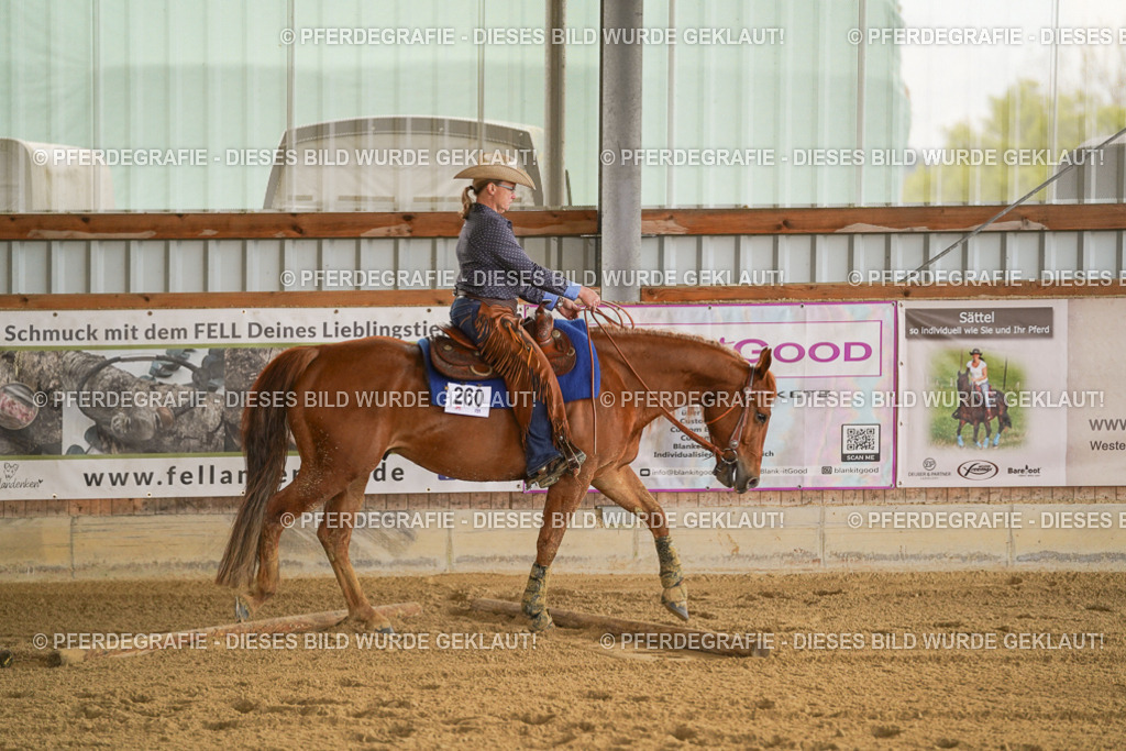 DSC07270 | Pferdegrafie