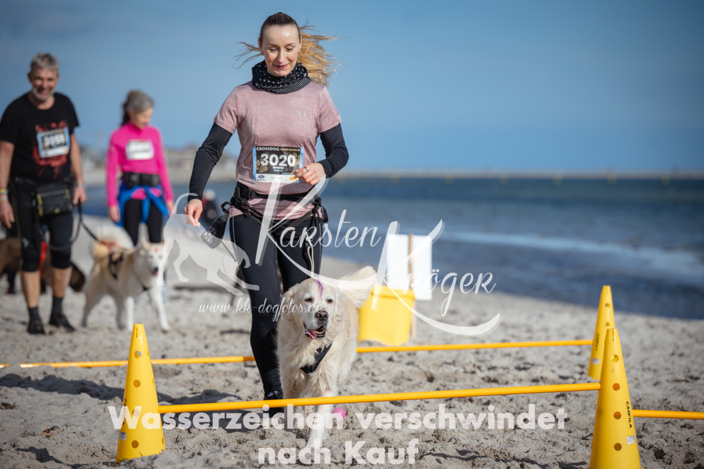 1345_ZZ93253 | kk-dogfotos