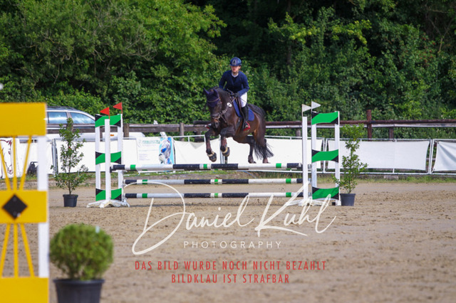 DKP41184 | Turniersportfotografie; Pferdefotografie; Dressurfotografie