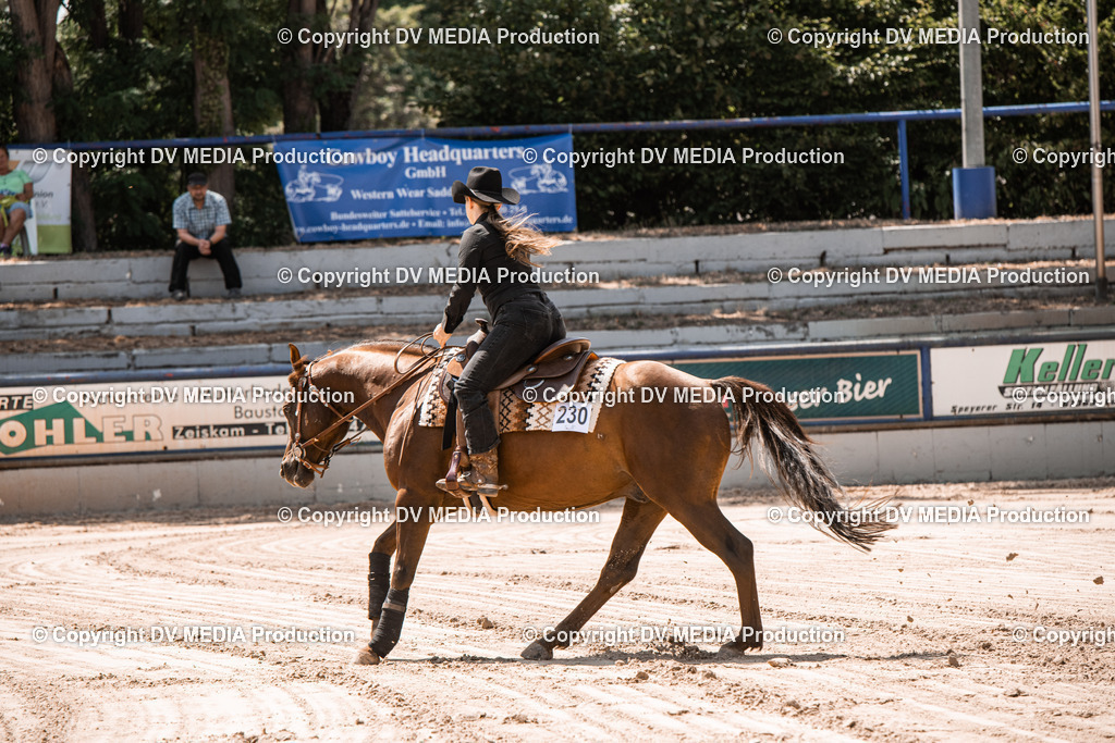 ZS3_0064 | dv-media-shop - Realisiert mit Pictrs.com