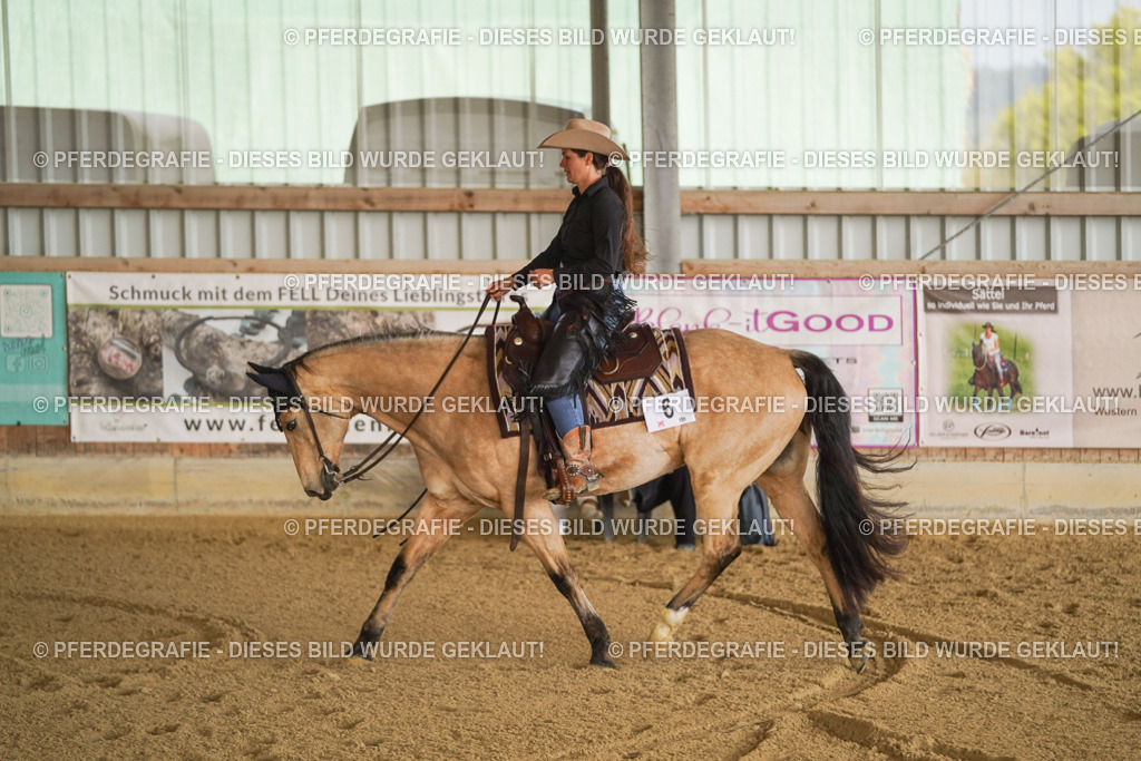 DSC01484 | Pferdegrafie