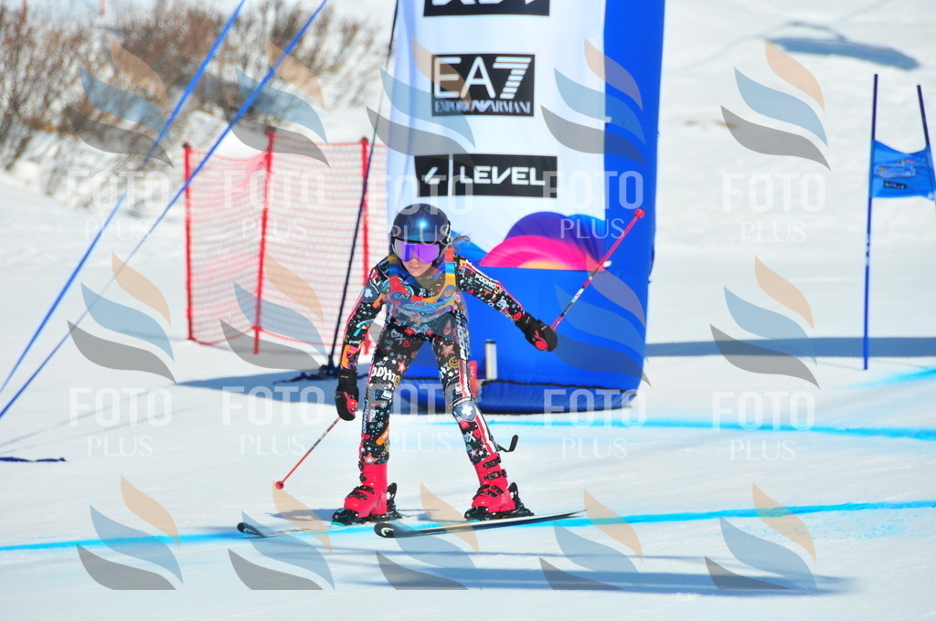 DSC_4320 | holidayphoto