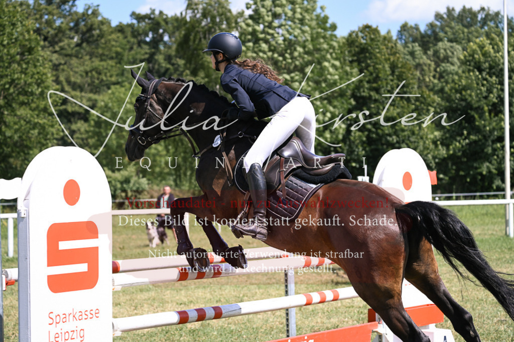 DSC_0451 | Pferde- und Turnierfotografie in Westsachsen. Pferdeportraits, Auftragszeichnungen und intuitive Kunst.