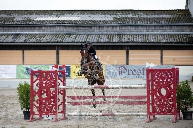 2B4A3479 | pixelfaenger - Realisiert mit Pictrs.com