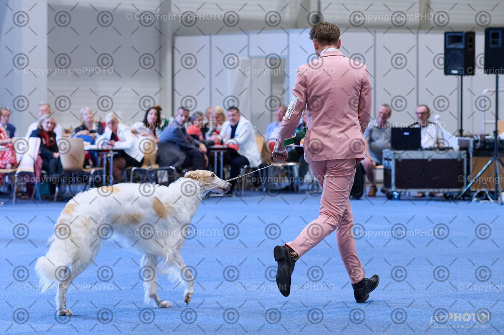 202406_ÖKV-IHA-Tulln24_DSC_4248 | proPHOTO - Realisiert mit Pictrs.com