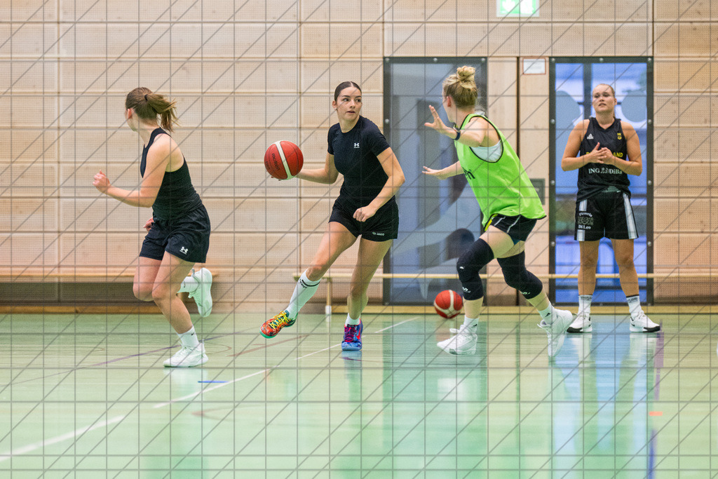 2. DBBL Nord 25/26 | BBC Osnabrück Trainingsimpressionen | //  02.09.25: 2. DBBL Nord 25/26 | BBC Osnabrück Trainingsimpressionen / Osnabrück / Deutschland  //   CREDIT:www.bullenfotos.de, Martin König, Hörner Weg 40, D-49078 Osnabrück, +4917663732967 // Nutzung und Weitergabe nur zu den vereinbarten Zwecken. Presseanfragen an Ersteller. Alle Rechte beim Ersteller. Honorierung nach MFM. - Realisiert mit Pictrs.com