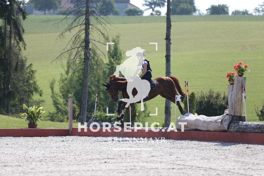 DL2Q1536 | Willkommen bei Brunnmayr - Design & Fotografie – Ihrem Spezialisten für Reitturniere und Pferdeveranstaltungen in Oberösterreich, Salzburg und Bayern! Seit über 17 Jahren sind wir leidenschaftlich dabei.