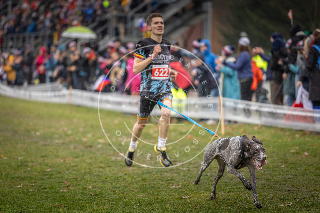 CaniXpix_DV3A9629 | Hundefotografie, Tierfotograf, Pfotenfotografie, Fotoshooting Hund, Hunde Portrait, Hundesport, Hundeportraits, Heideshooting, Hunde, Sportfotograf, Hundefotograf, Turnierhundsport, THS,  - Realisiert mit Pictrs.com