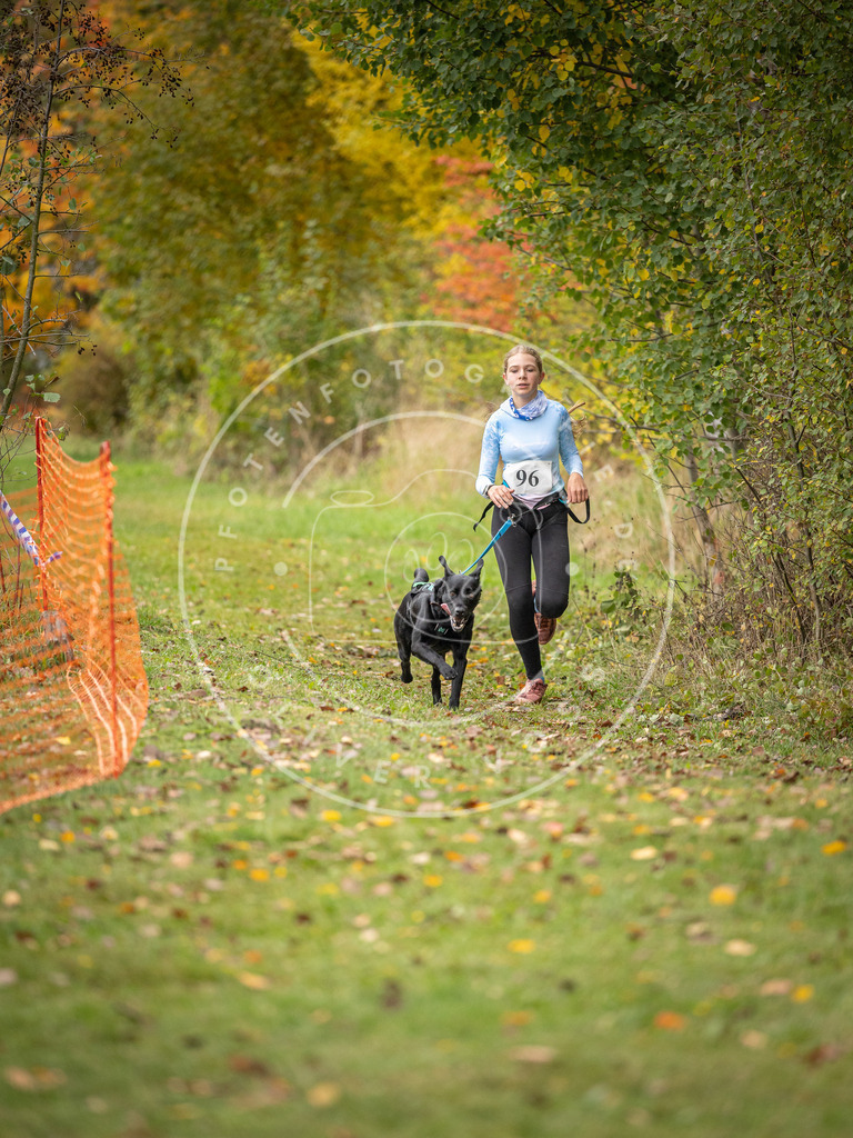 Pfotenfotografie_DV3A3356 | Hundefotografie, Tierfotograf, Pfotenfotografie, Fotoshooting Hund, Hunde Portrait, Hundesport, Hundeportraits, Heideshooting, Hunde, Sportfotograf, Hundefotograf, Turnierhundsport, THS,  - Realisiert mit Pictrs.com