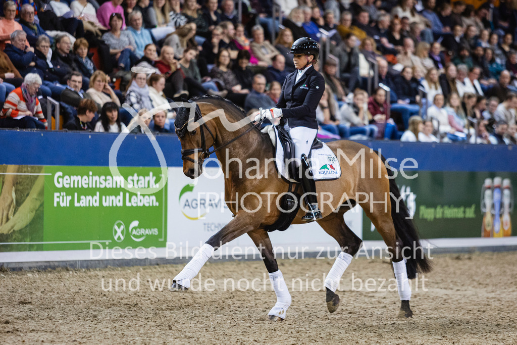 250108_Muenster_Hengstpräsentation-143 | Deine schönsten Turniermomente als professionelle Fotos! Entdecke hochwertige Pferdesport-Fotografie im Online-Shop. Jetzt Fotos finden & bestellen!