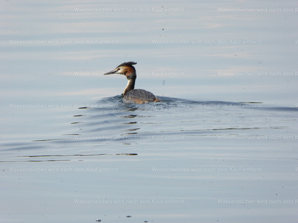 P1000468 | Entdecken Sie die faszinierende Welt von Norbert Michels: Surreale Kunstwerke, hochwertige Fotos, Leinwandbilder & Fotoprodukte wie Tassen mit bild7 - Realisiert mit Pictrs.com
