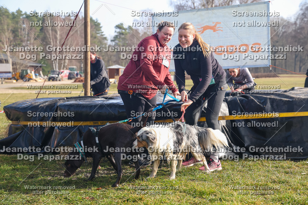 Dog Paparazzi - Strongdog North Mrz26-805 | Dog Paparazzi Jeanette Grottendiek Fotografie & Videografie - Realisiert mit Pictrs.com