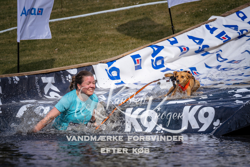 _ZZ905540901 | kk-dogfotos