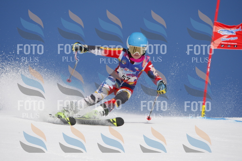 _W1G0830 | holidayphoto