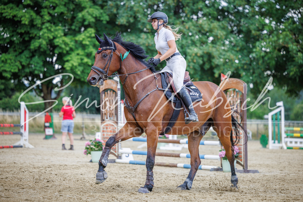20260705-_3LI4854 | Tierfotografie Pferde, Hunde, Katzen, Haustiere.
Turnierfotografie Reitturniere, Reiten, Springreiten, Dressur in Hanau, dem Main-Kinzig-Kreis und dem Rhein-Main- Gebiet um Frankfurt