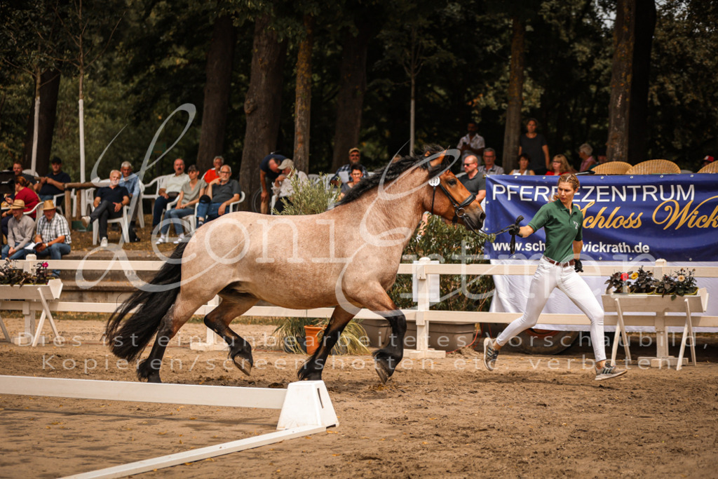 4.Sa00035 | Leoni Ertmer Photography - Realisiert mit Pictrs.com