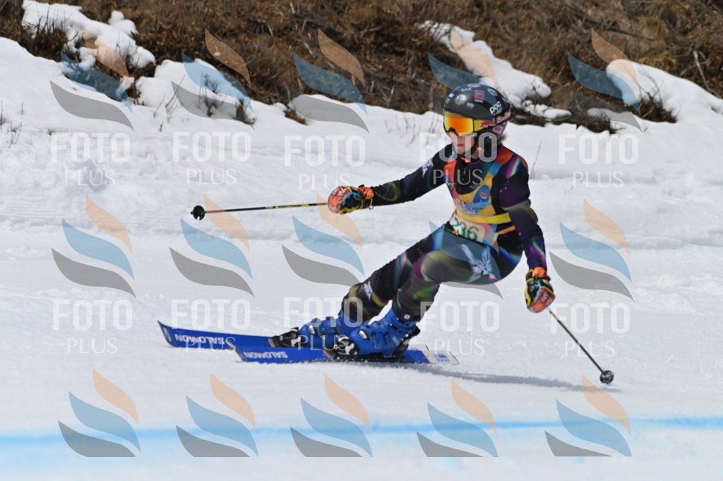 BGV_4691 | holidayphoto