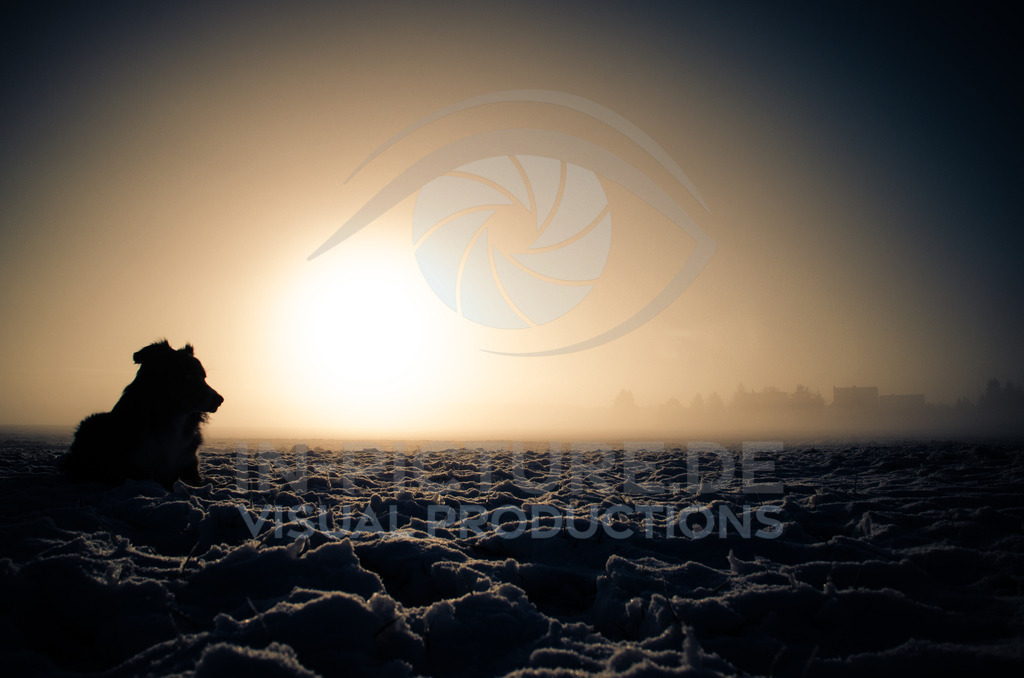 _DSC7523 | in-picture - Realisiert mit Pictrs.com