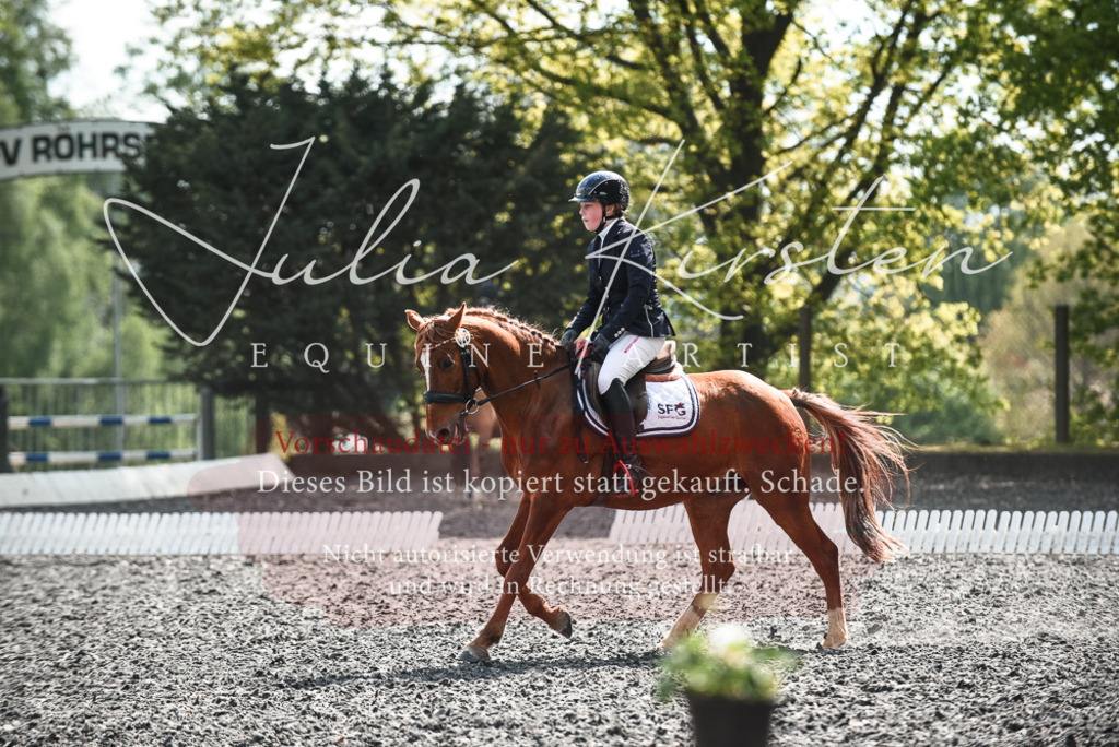 DSC_9058 | Pferde- und Turnierfotografie in Westsachsen. Pferdeportraits, Auftragszeichnungen und intuitive Kunst.