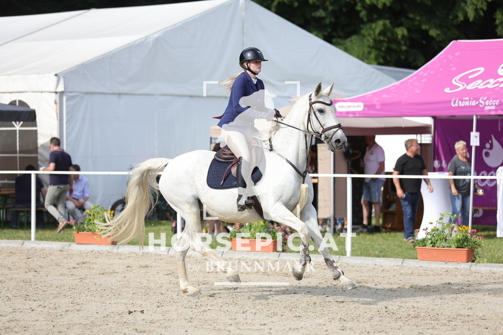 0P6A5933 | Willkommen bei Brunnmayr - Design & Fotografie – Ihrem Spezialisten für Reitturniere und Pferdeveranstaltungen in Oberösterreich, Salzburg und Bayern! Seit über 17 Jahren sind wir leidenschaftlich dabei.