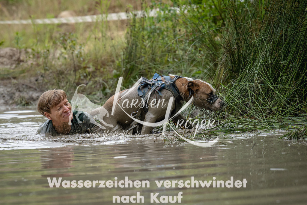 1345_ZZ92477 | kk-dogfotos