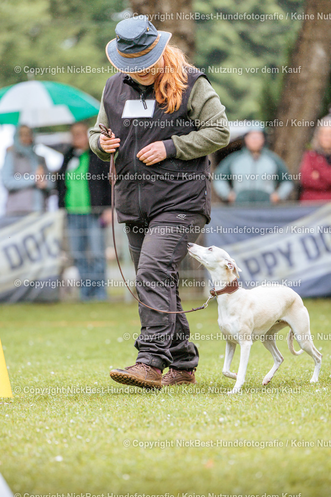 RO-Blumenthal-2026-Nickbest-Hundefotografie-0190 | Dein Hund! Dein Moment! Deine Erinnerungen! Hundefotografie in Bremen Blumenthal. Ich fange die besonderen Momente deines Vierbeiners ein – ob Indoor mit Blitzanlage oder in der freien Natur. Sicher dir dein Moment und dein Termin für eure Erinnerungen.