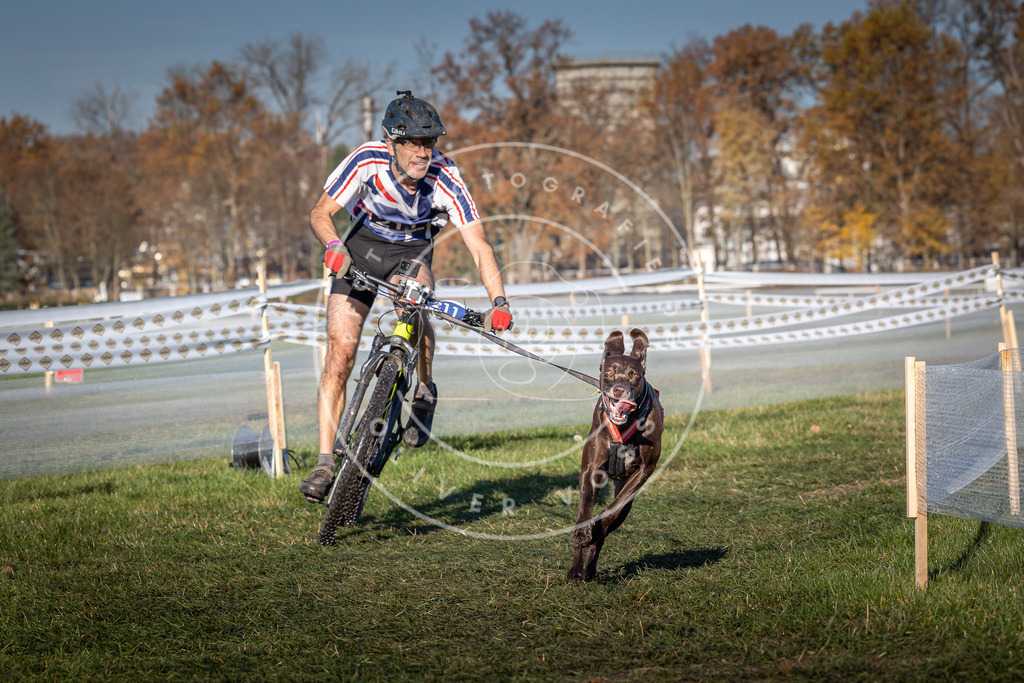 CaniXpix_0L8A4538 | Hundefotografie, Tierfotograf, Pfotenfotografie, Fotoshooting Hund, Hunde Portrait, Hundesport, Hundeportraits, Heideshooting, Hunde, Sportfotograf, Hundefotograf, Turnierhundsport, THS,  - Realisiert mit Pictrs.com
