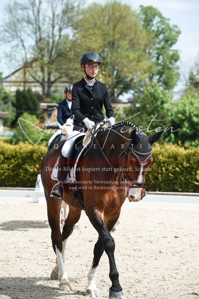 20230518_JK-Röhrsdorf-11-0382 | Pferde- und Turnierfotografie in Westsachsen. Pferdeportraits, Auftragszeichnungen und intuitive Kunst.