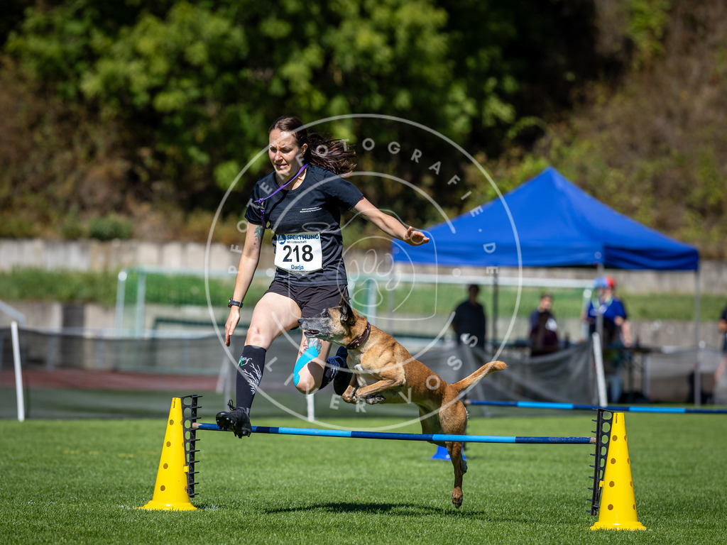 Pfotenfotografie_DV3A5360 | Hundefotografie, Tierfotograf, Pfotenfotografie, Fotoshooting Hund, Hunde Portrait, Hundesport, Hundeportraits, Heideshooting, Hunde, Sportfotograf, Hundefotograf, Turnierhundsport, THS,  - Realisiert mit Pictrs.com