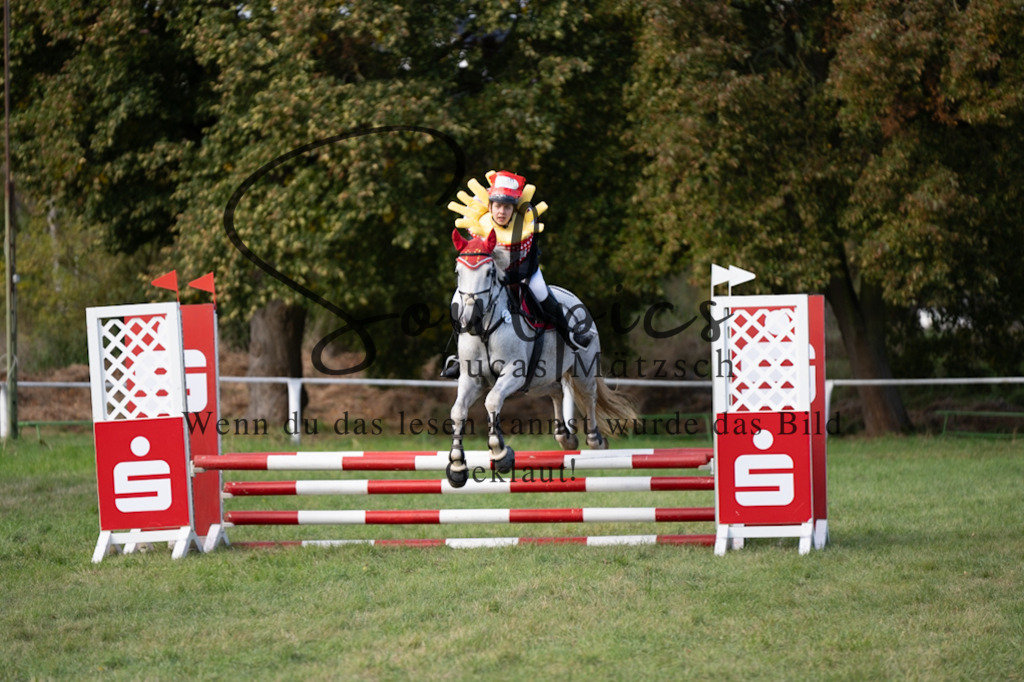 A7V06558 | Pferdefotograf