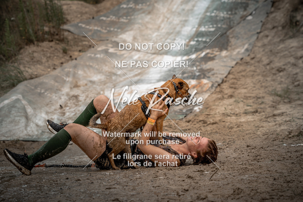 nelerasche_sa1500-1530_235 | nelerasche