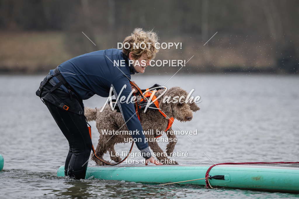 nelerasche_Hulsbeek_Sa1430-1515_458 | nelerasche