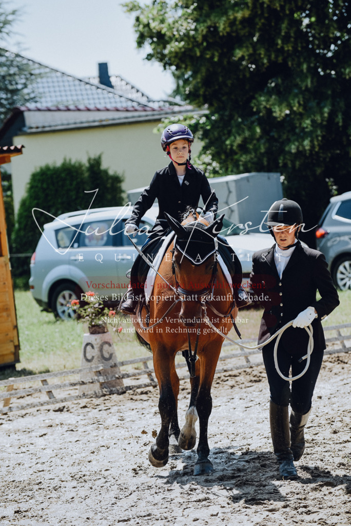 DSC_2266 | Pferde- und Turnierfotografie in Westsachsen. Pferdeportraits, Auftragszeichnungen und intuitive Kunst.