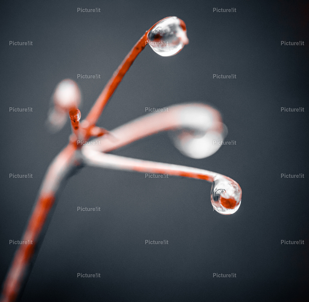 Schönheit der Natur | Entdecken Sie unsere vielfältige Auswahl an digitalen Panoramen und hochwertigen Fotoprodukten. Ob als sofortiger Download für kreative Projekte oder als exklusives Fotoprodukt für Ihr Zuhause – unsere einzigartigen Aufnahmen bieten perfekte Qualität.  - Realisiert mit Pictrs.com