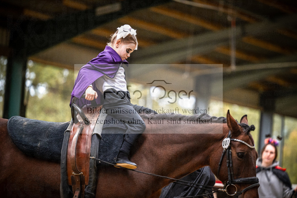 DOS_0105 | Entdecke hochwertige Reitturnierfotos von Foto Oger. Professionell, emotional und authentisch – jetzt Lieblingsmomente im Shop bestellen.Deutschlandweite Turnierfotografie. - Realisiert mit Pictrs.com