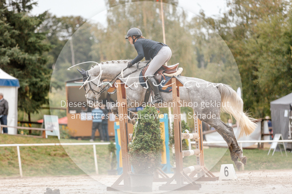 3I6A5827 | Stimmungsvolle Portraits und Reitsportfotografie im Ruhrgebiet und im Münsterland.

Pferdefotografie, Hundefotografie, Tierfotografie, Reportagen, Portraits von Tier und Mensch, Turnierfotografie in Bochum, Recklinghausen, Marl, Haltern am See, Dülmen.. - Realisiert mit Pictrs.com