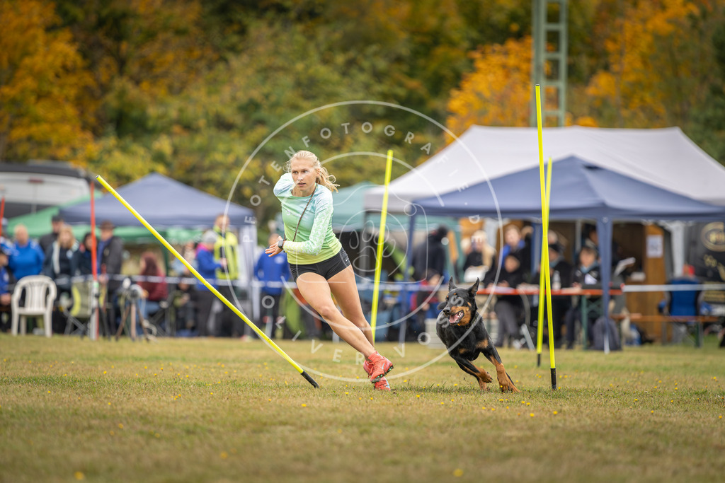 Pfotenfotografie_DV3A4146 | Hundefotografie, Tierfotograf, Pfotenfotografie, Fotoshooting Hund, Hunde Portrait, Hundesport, Hundeportraits, Heideshooting, Hunde, Sportfotograf, Hundefotograf, Turnierhundsport, THS,  - Realisiert mit Pictrs.com