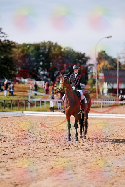 2026_10_03_Siefer-Hof_130114_Z81_53087449 | Professionelle Reitsport-, Turnier- und Eventfotografie von Robert Broda. Galerien mit ausgewählten und bearbeiteten Bildern direkt online ansehen und bestellen.
